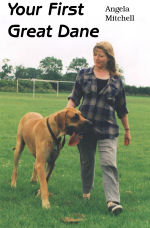 Your first Great Dane - cover