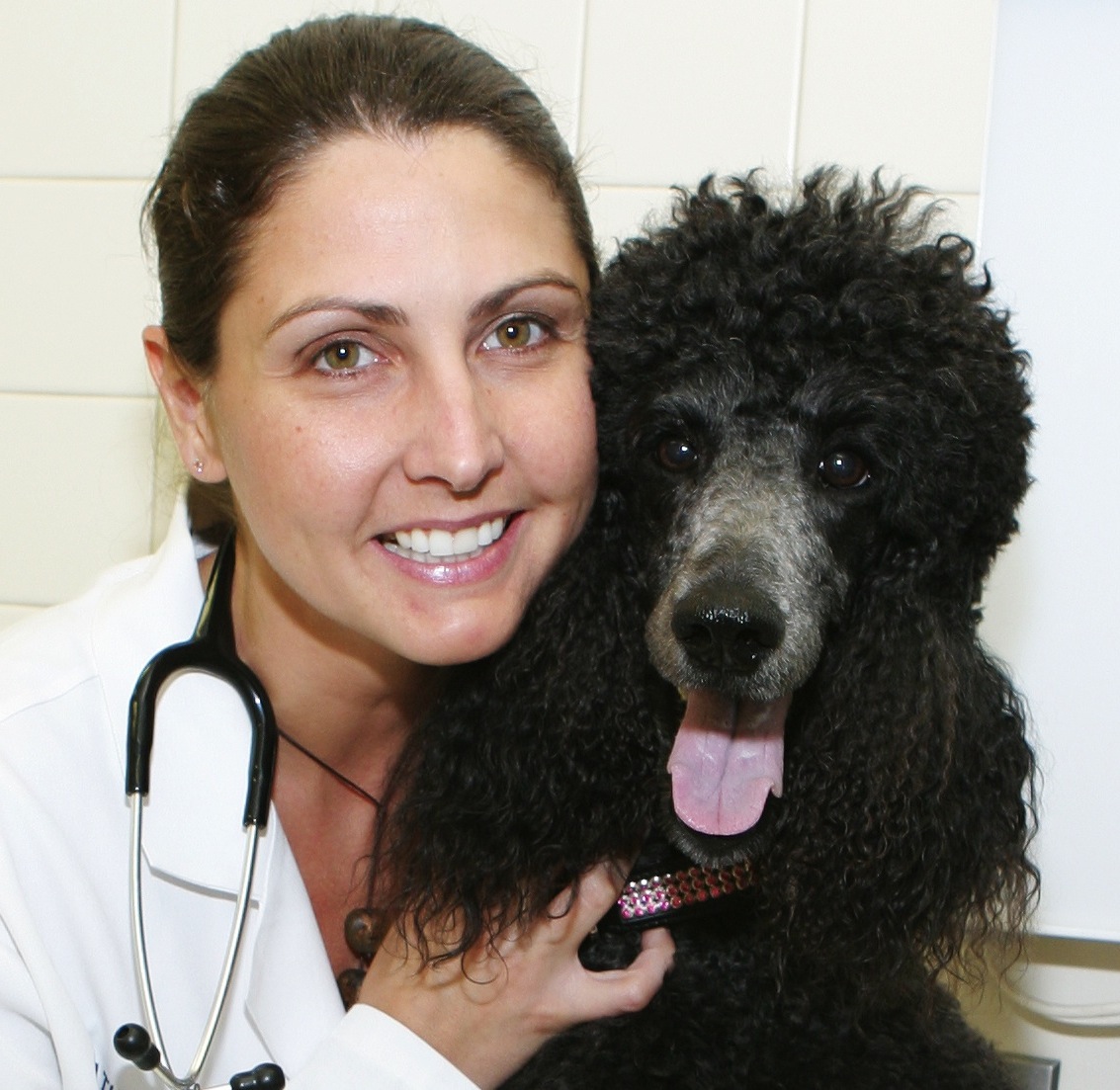 Deidre Chiaramonte has all the advice you need if your dog needs to have surgery.