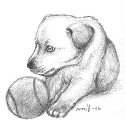 An image from DogEachDay.com