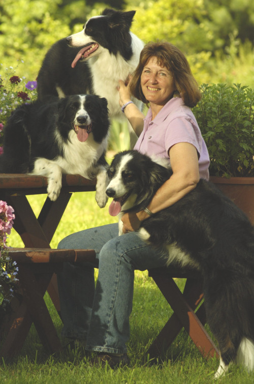 Pam Dennison with some of her beautiful Border Collies.