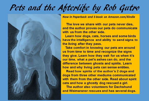 Rob has written about his intriguing experiences in the book Pets and the Afterlife.
