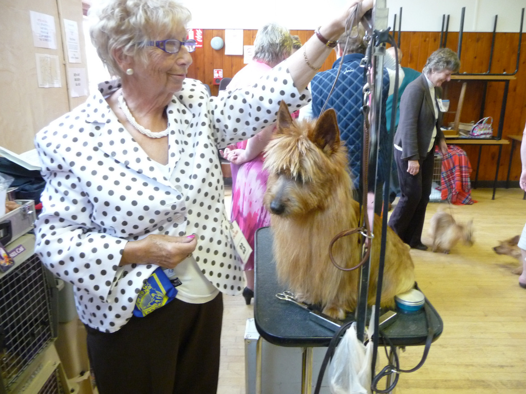 Experienced exhibitor Susan McCourt with her well groomed dog.