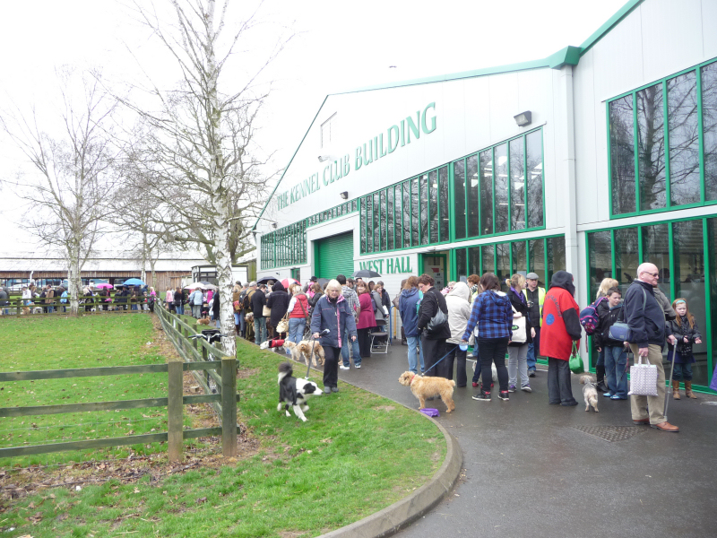 The dogs queue outside the Kennel Club building.