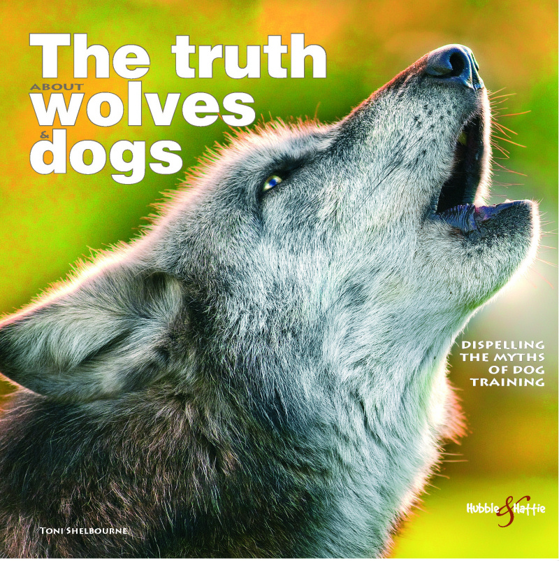 The cover shot of The Truth about Wolves and Dogs, photo by Oliver Matla www.lupinity.com