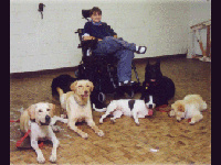 4 Paws for Ability founder Karen Shirk