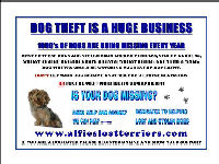 One of the posters for Alfie's Lost Terriers