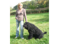 Catherine Mathieson's passion for Labradoodles led her to found Labradoodle Trust.