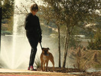Cindy with one of her beloved Pit Bulls.