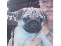 Connie Bowen picture 19