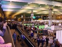 Crufts picture 1