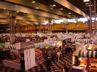 Crufts picture 2