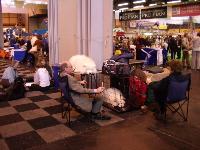 Crufts picture 13