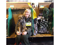 This partnetship enjoyed crufts