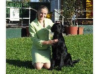 Jazmyn Wray with the number one Flat Coated Retriever in Australia in 2006