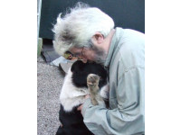 Graeme loves his dogs.