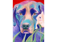 Iris Garden by Jody Wright.
