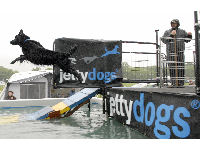 Trover sponsors Jetty Dogs