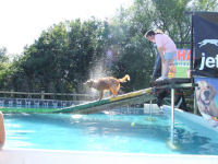 Watch out for the spray at JettyDogs!