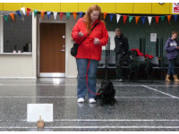 Julie and Buddy have fun trying out rally.