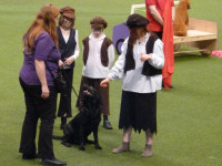 Julie and Buddy with the Safe and Sound Team in the main arena.