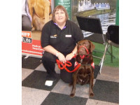 Coco has made an incredible difference to Addison sufferer Karen's life.