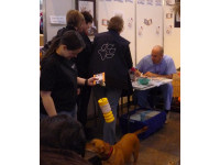 Marc Abraham busy signing his book