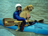 Merle was a young dog living wild when Ted and he met.