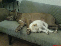Miley and her friend relaxing.
