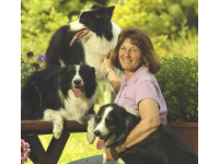 Pam Dennison with some of her beautiful Border Collies.