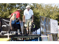 Dr Roger Mugford at the JettyDogs pool at Train & Behave.