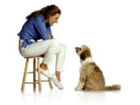 Sarah Hodgson can help you train and keep your dog happy