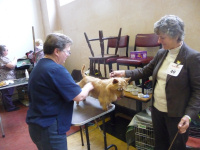 Sue Thompson gets a few pointers about rotating the coat.