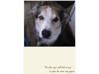 Tika's lovely face has been part of a sympathy card.