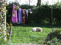 Tom enjoying the sunshine