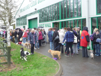 The dogs queue outside the Kennel Club building.