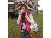 This entrant had it sorted - umbrella, dog bag and coffee!