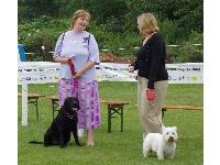Julie indulges one of her favourite pastimes: talking with other dog owners