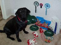 Buddy with his prizes and freebies from the show