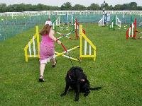 Buddy wasn't a natural at agility