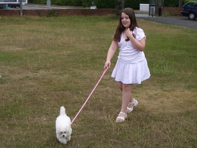 Walkies