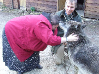 Julie Rodaway meets Maddy the wolf