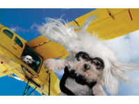 The sky's the limit for Lulu and Lolly.