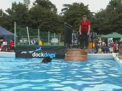 Video thumbnail 3 for Video: Dock Dogs (Water jumping) at the Cold Wet Nose Show - Tags:Cold Wet Nose Show
Dock Dogs
