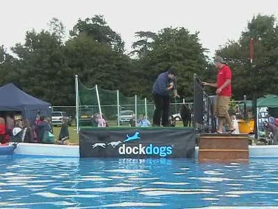 Video thumbnail 0 for Video: More Dock Dogs at the Cold Wet Nose Show - Tags:Cold Wet Nose Show
Dock Dogs
