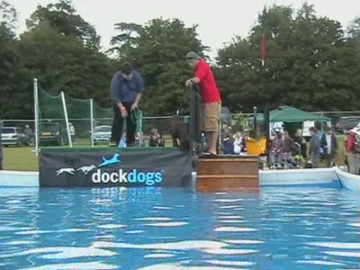 Video thumbnail 1 for Video: More Dock Dogs at the Cold Wet Nose Show - Tags:Cold Wet Nose Show
Dock Dogs
