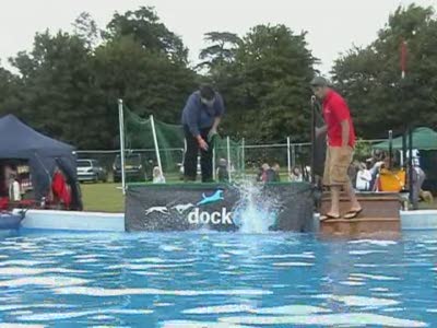 Video thumbnail 4 for Video: More Dock Dogs at the Cold Wet Nose Show - Tags:Cold Wet Nose Show
Dock Dogs
