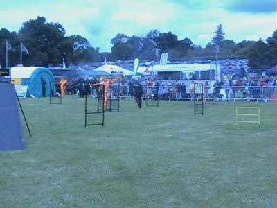 Video thumbnail 0 for Video: Dog agility with fire - Tags:agility
Cold Wet Nose Show
fire
