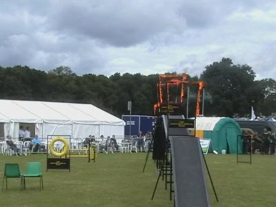 Video thumbnail 3 for Video: Dog agility with fire - Tags:agility
Cold Wet Nose Show
fire
