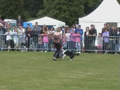 Video thumbnail 0 for Video: Kate and Gin at the Cold Wet Nose Show - Tags:Border Collie
Cold Wet Nose Show
Kate and Gin
