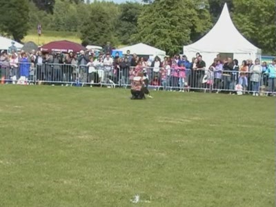 Video thumbnail 1 for Video: Kate and Gin at the Cold Wet Nose Show - Tags:Border Collie
Cold Wet Nose Show
Kate and Gin
